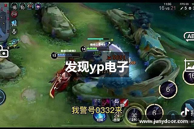 发现yp电子
